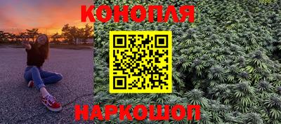 шишки Будённовск