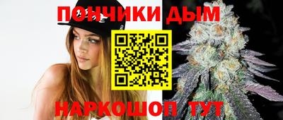 шишки Будённовск