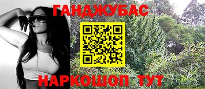 шишки Будённовск