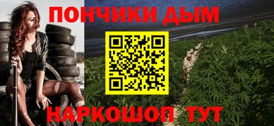 шишки Будённовск