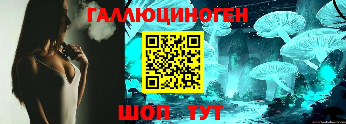 Галлюциногенные грибы Psilocybine cubensis  Вход с VPN  Карасук 